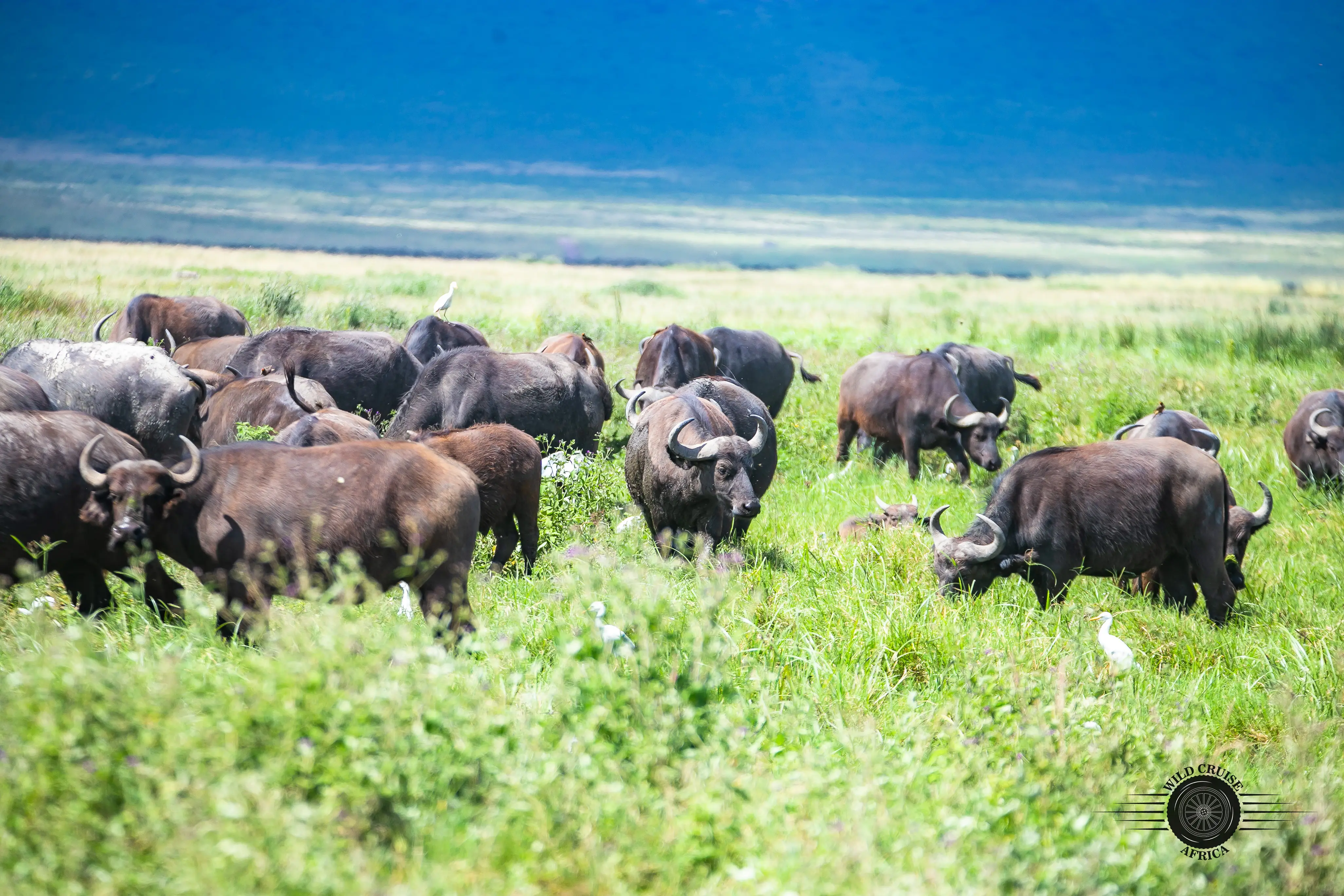 11-Day Culture, Wildlife & Beach Bliss