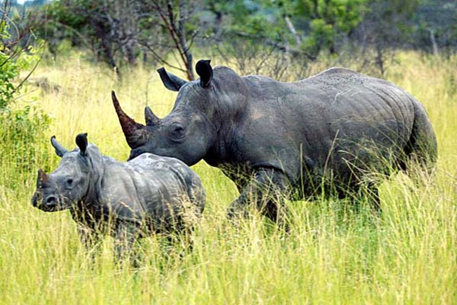 4_Day The Memorable Experience with Luxury Accommodation