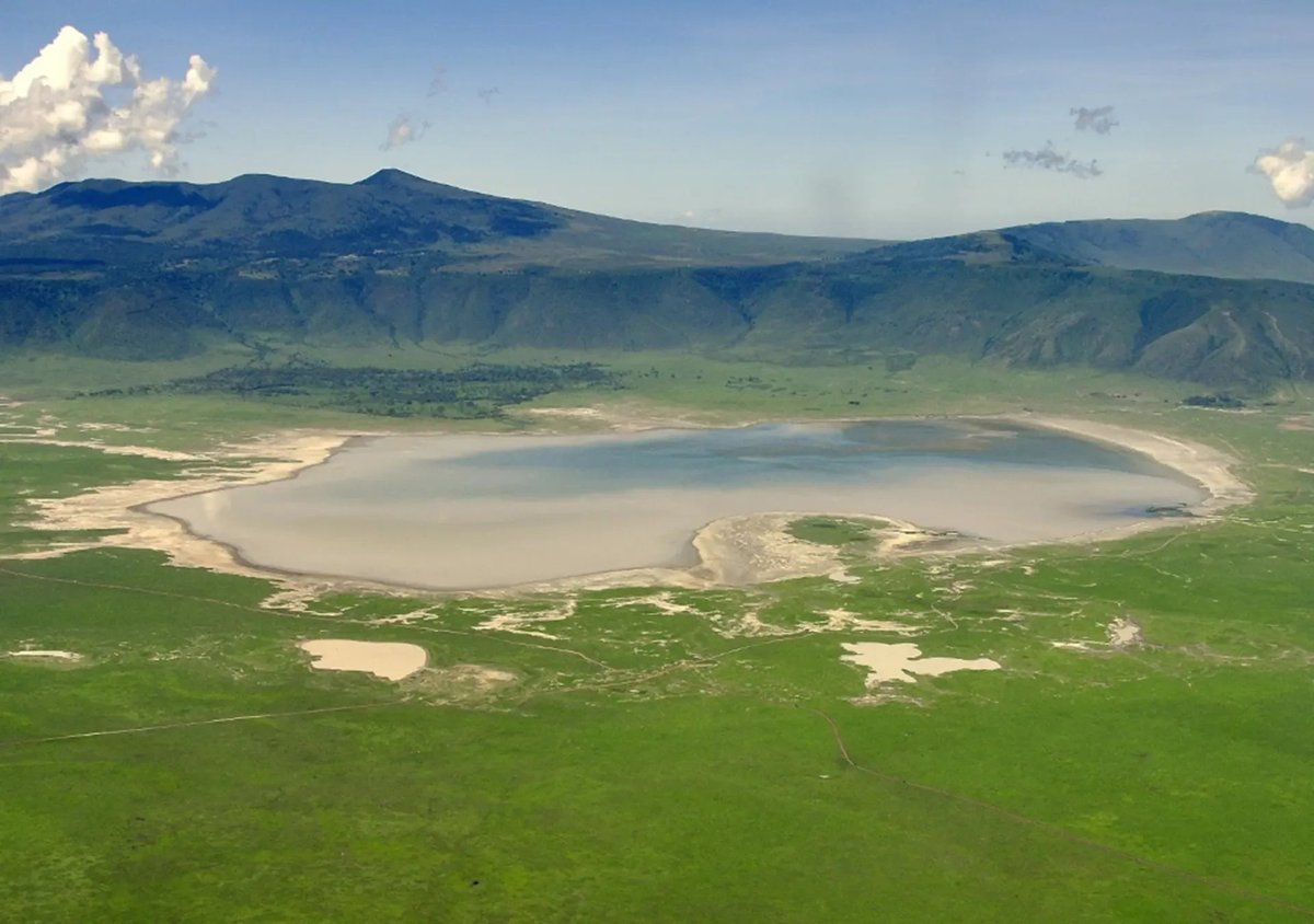 Ngorongoro Crater Day Trip from Arusha