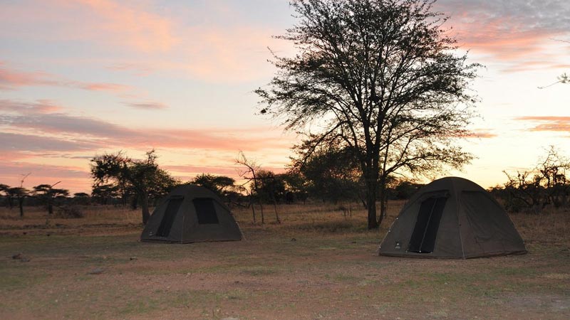 Seronera Camp