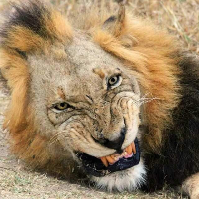 Day Trip - Arusha National Park
