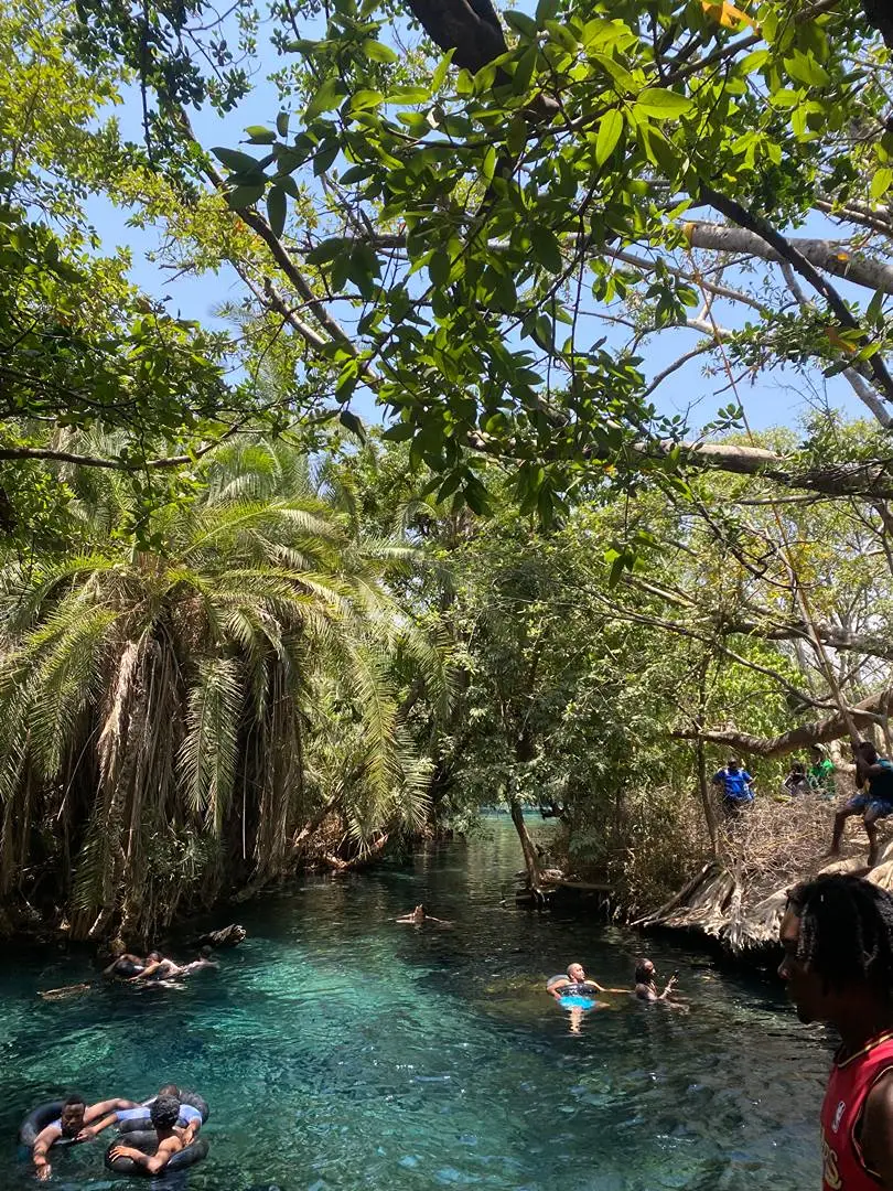 Materuni Waterfalls & Coffee Tour + Chemka Hot Springs – Full Day Trip