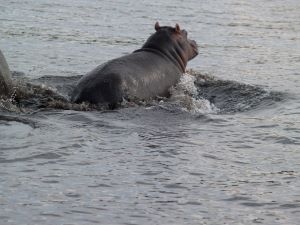 9-Day : Etosha National Park, Okavango and Zambezi Region.