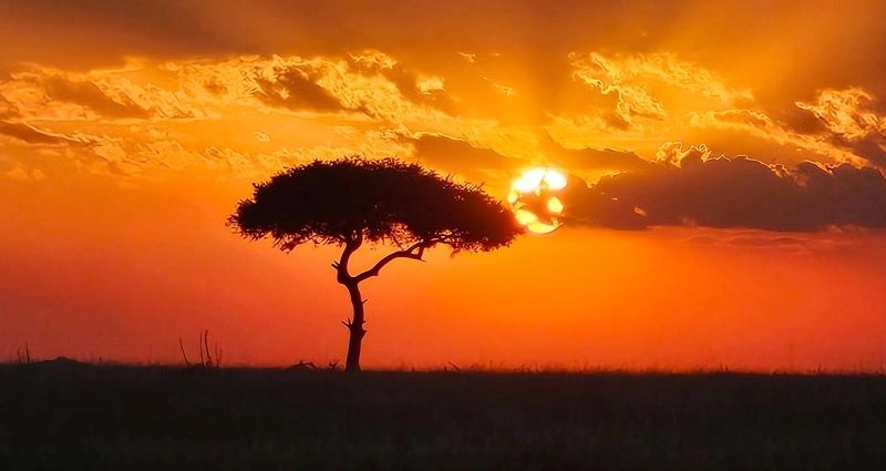 8 Day Tarangire, Ndutu, Serengeti NP and Ngorongoro Conservation Area