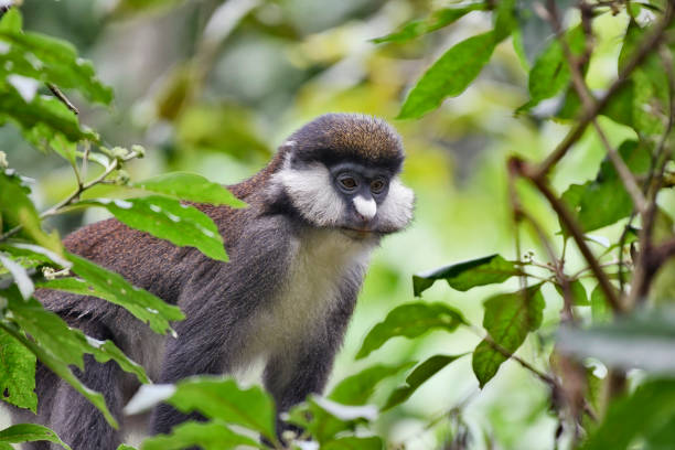 3 Day Queen Elizabeth National Park