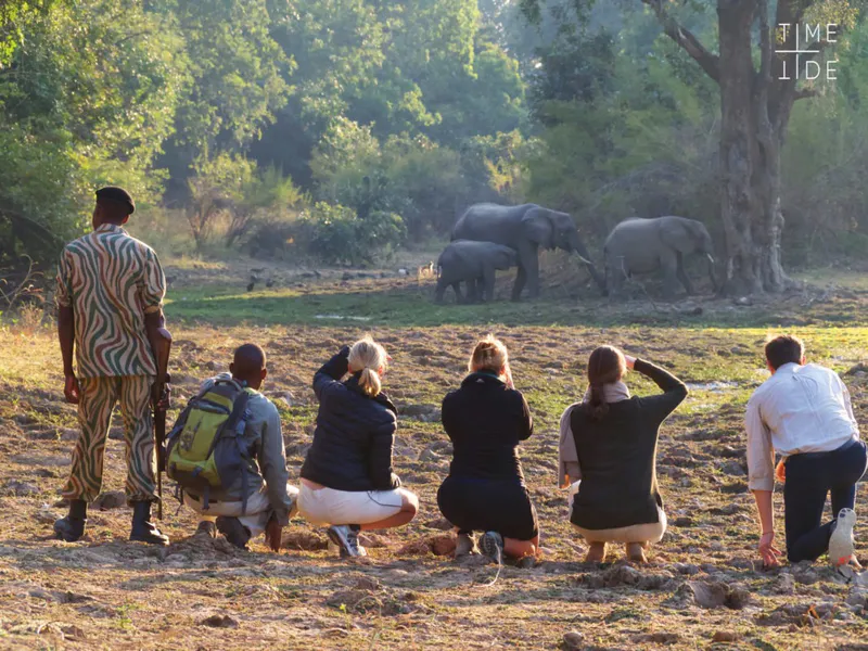 Walking Safari and Tracking The White Rhino in Mosi-oa-Tunya Park