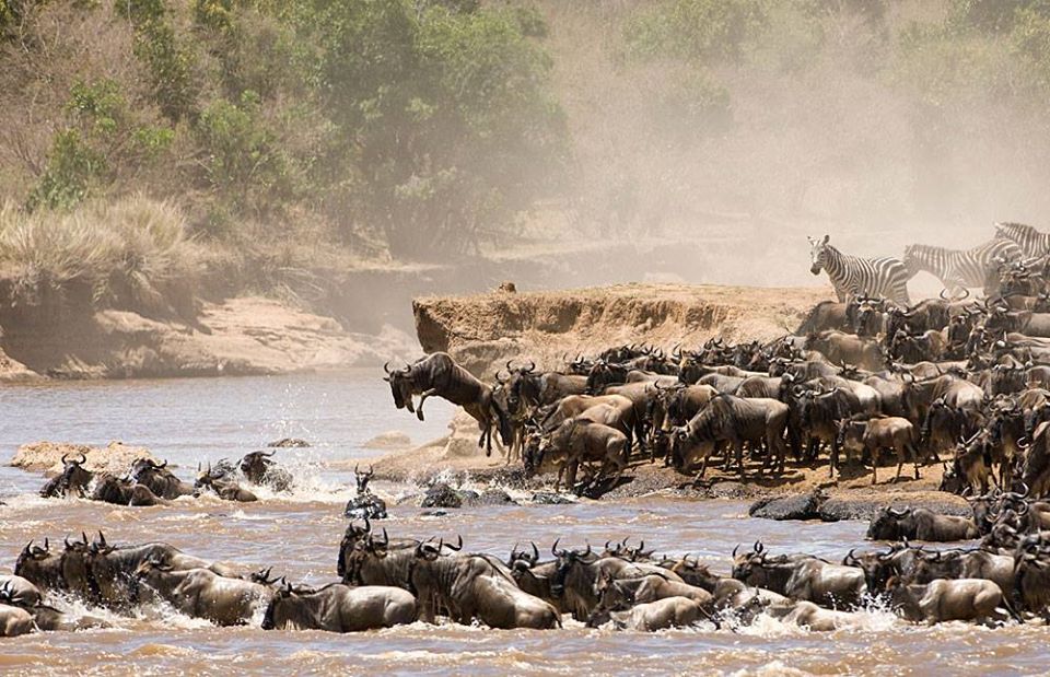 6 Days Tanzania Camping wildlife Amazing Safari