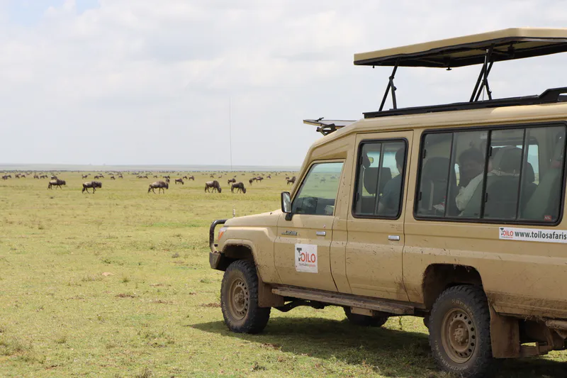 2 Days Group Join Mid-range Safari – Tarangire & Ngorongoro Crater