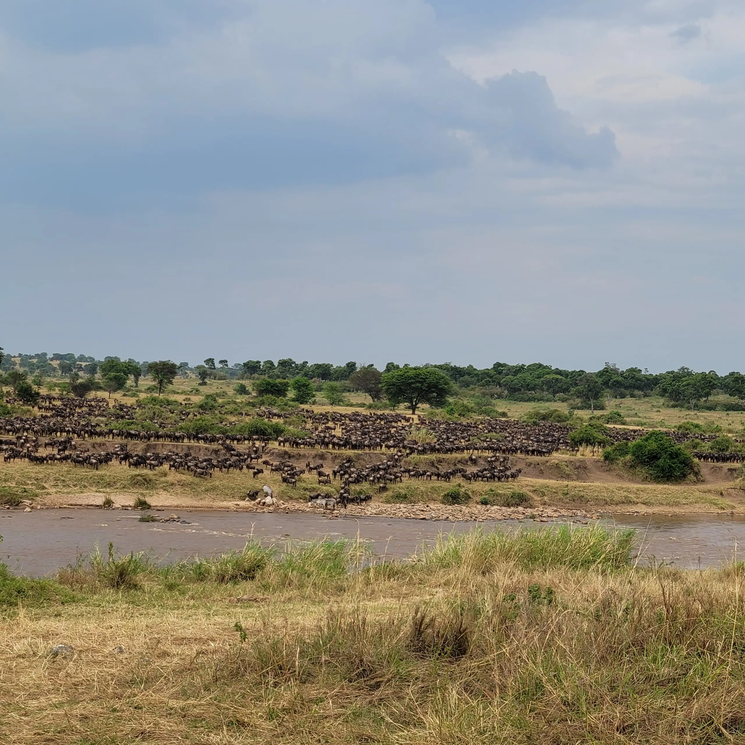 7-Day Luxury Green Season Safari - Where Life Begins