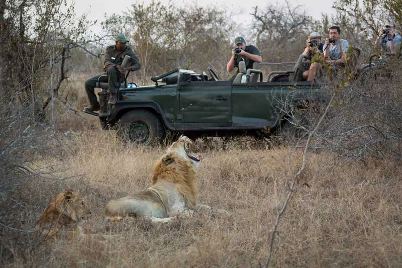 4 Day Kruger and Sabi Sand Luxury Tented Camp Safari