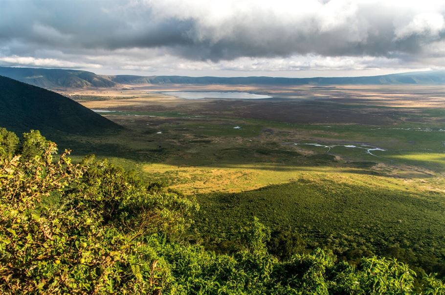 5-Day Best Northern Tanzania Luxury Safari