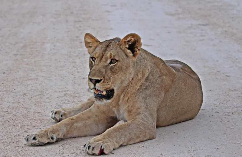 7- Day Classic Etosha National Park