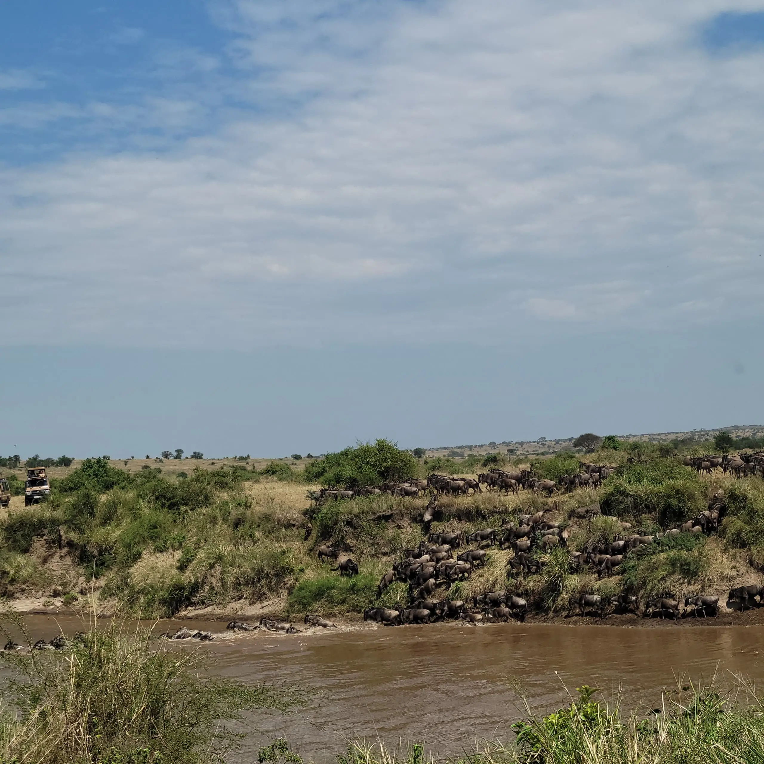 7-Day Luxury Green Season Safari - Where Life Begins