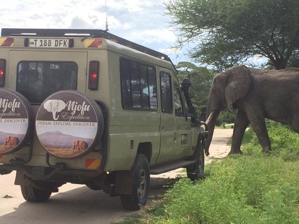 10-Days Big Five Safari & Zanzibar