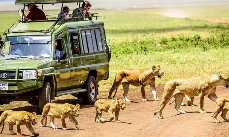 2 days-Private Budget Tour at Tarangire and Ngorongoro Crater one of the best unique safari package.
