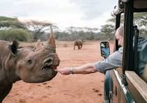 1 DAY TRIP- MKOMANZI RHINO SAFARI