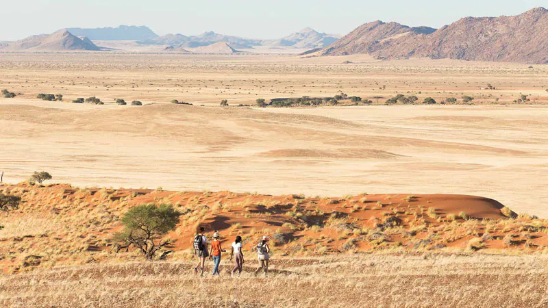 12-Days: Kalahari Desert, Fish River Conyon,Klomanskop Ghoast Town, Namib Naukluf Park, Swakopmund and Etosh Nationa park.
