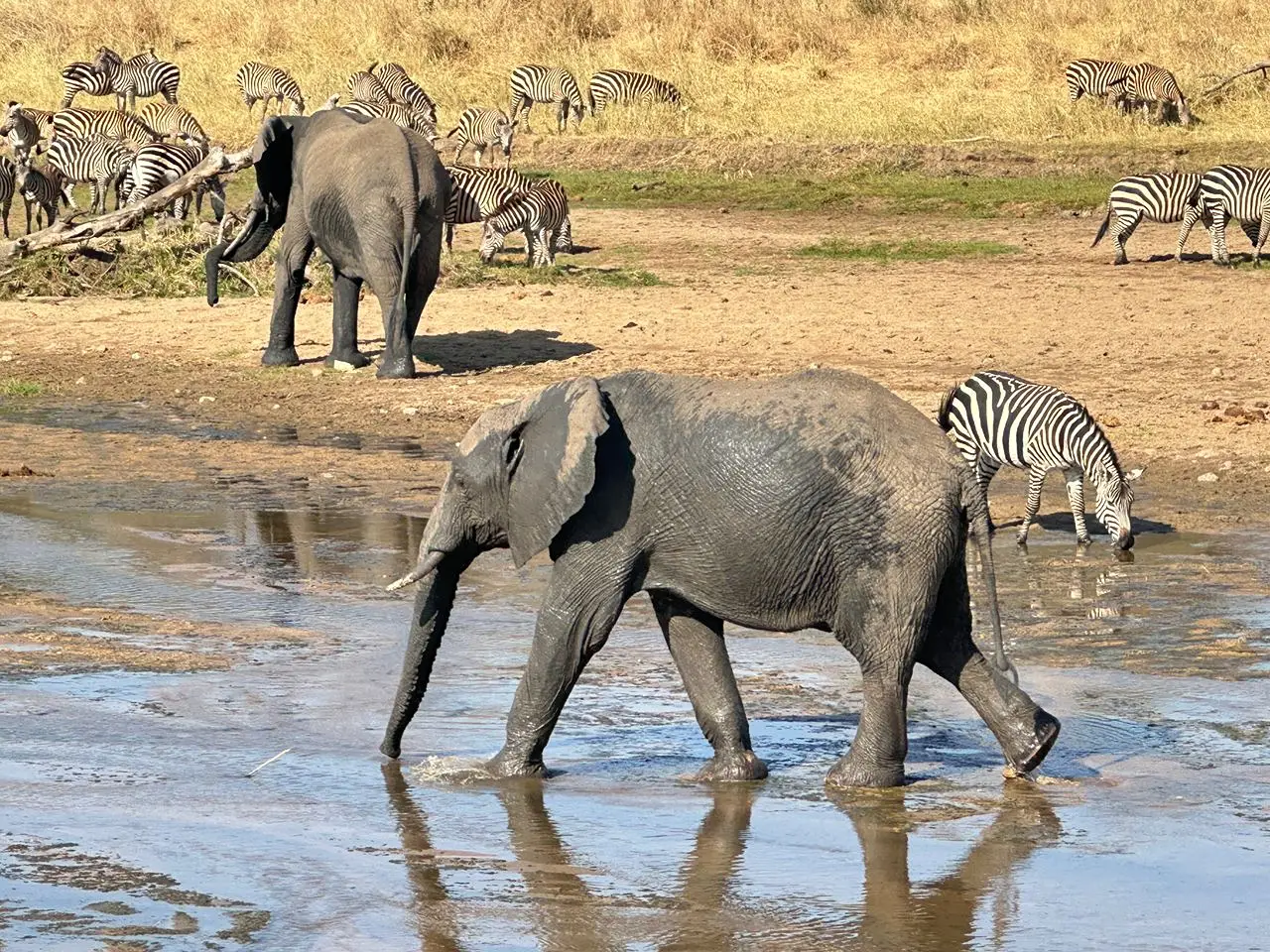 3-Day Honeymoon Safari – Serengeti & Ngorongoro Crater