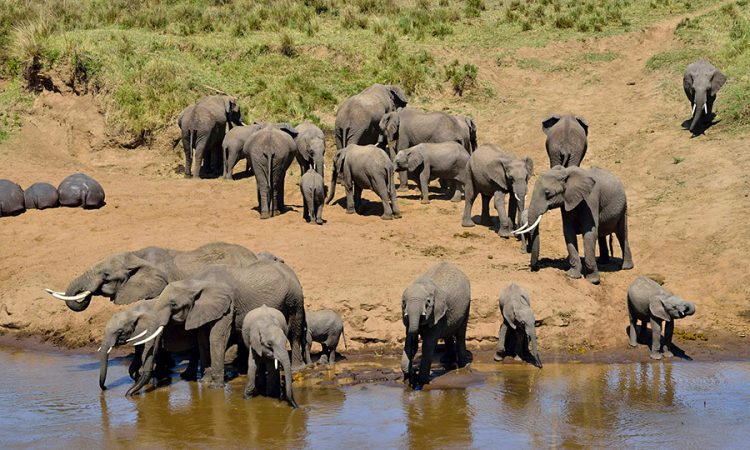 5-Day Mid Range Classic of Tanzania