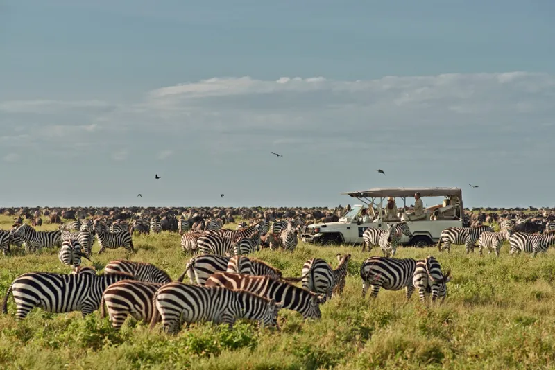 6 Days Western Corridor & Grumeti River Safari Remote Serengeti, Crocodile Crossings and Exclusive Wilderness