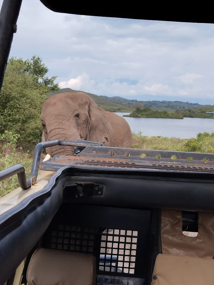 Day Trip Arusha National Park & Coffee Tour