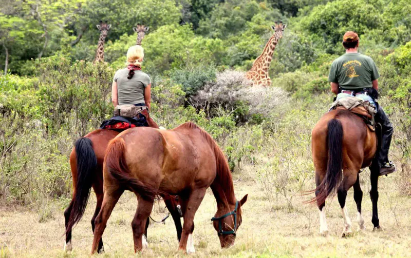 Day Trip To Arusha National Park