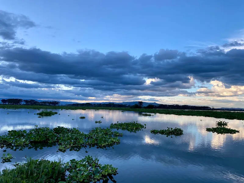 8 Days Rift Valley Lakes Safari Lake Elementaita- Lake Nakuru -Lake Bogoria / Lake Baringo- Lake Naivasha-Masai Mara