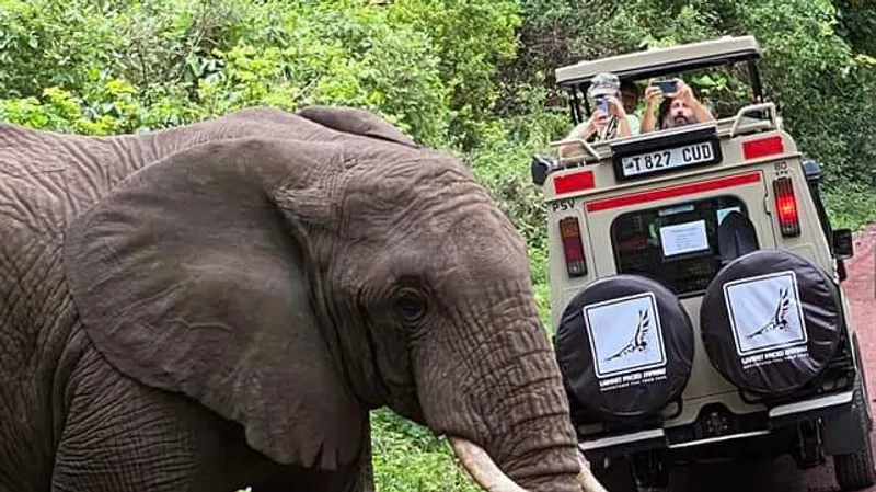 3-Day Tarangire, Ngorongoro and Lake Manyara Tour