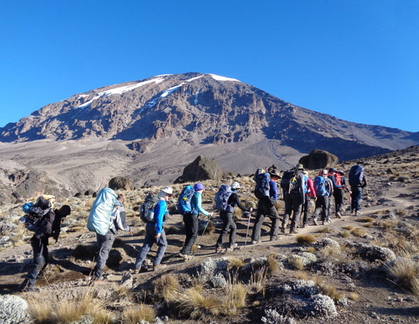 7 Day Kilimanjaro Climbing Lemosho Route