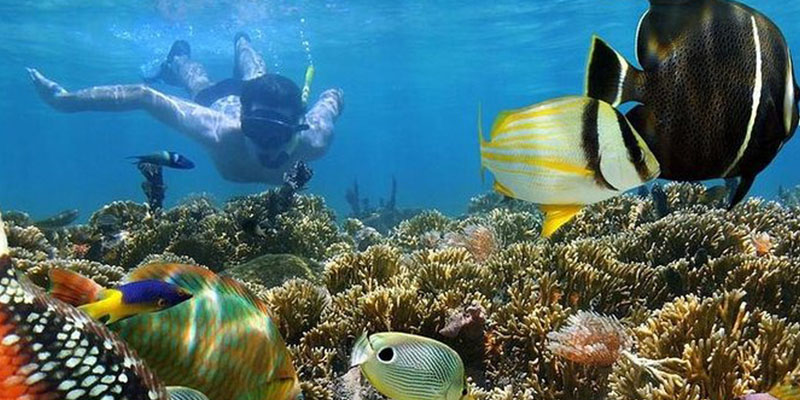 10 Days Midrange Safari and Zanzibar Beach
