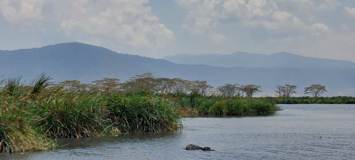 2-Day Epic Safari to Arusha and Tarangire National Parks