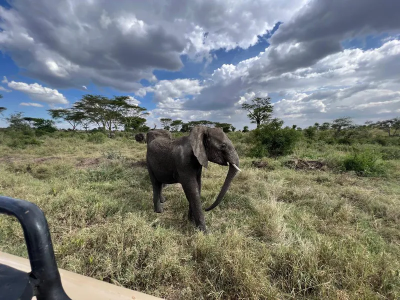 3 days-Explore Tarangire National Park, Ngorongoro Crater and Lake Manyara National Park.