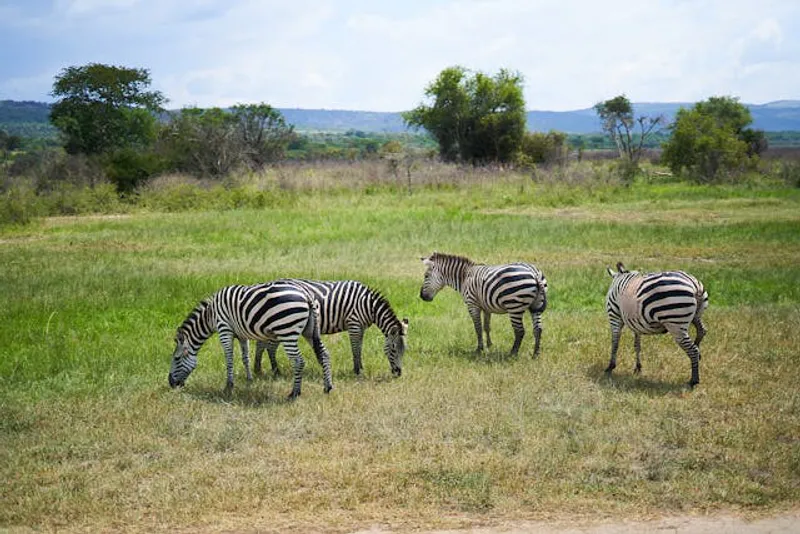 3-Day Magical Tanzania Expedition Safari