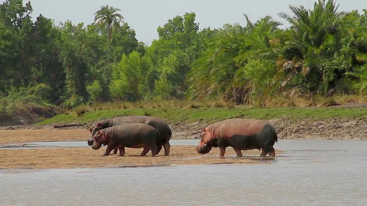 Southern Tanzania Hidden Gems – 5 Days Safari