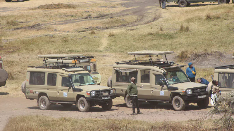 6-Days Gorilla And Chimpanzee Trekking Safari In Uganda