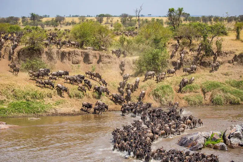 5-Day Luxury Migration Safari & Cultural Discovery