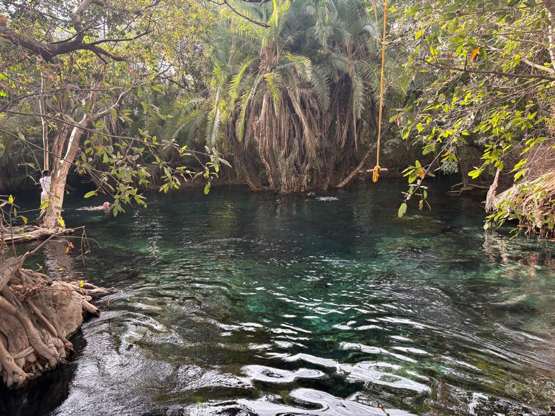 1day private trip Materuni Waterfalls, Coffee & Chemka Hot Springs