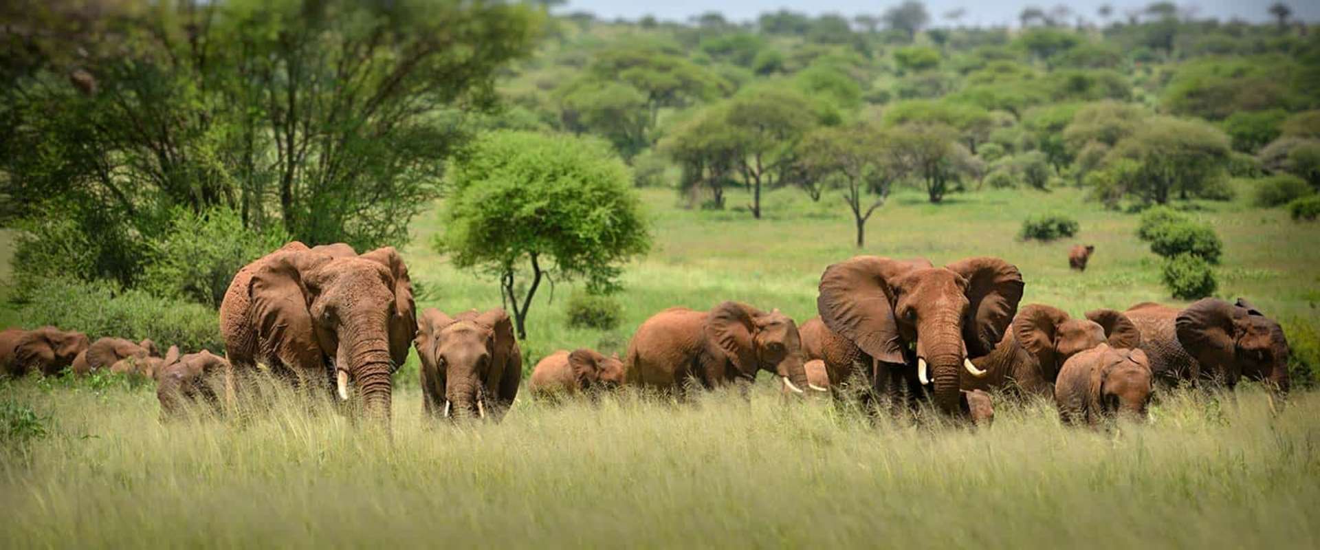 5 DAYS SAFARI TANZANIA