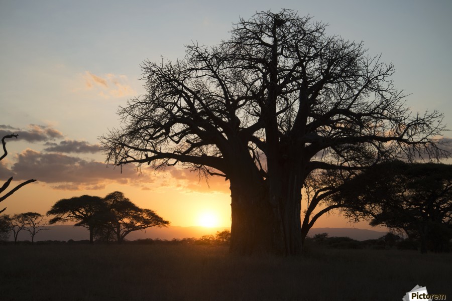 3- Day Tanzania Tour Package