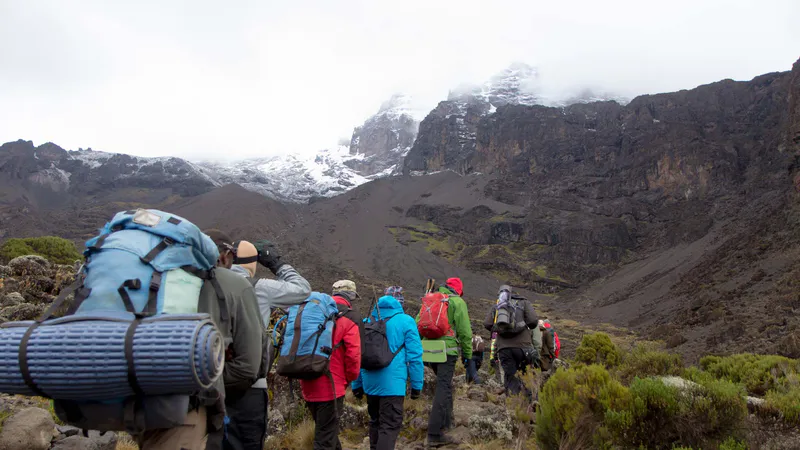 9-Day Mount Kilimanjaro Climb Through Northern Circuit route