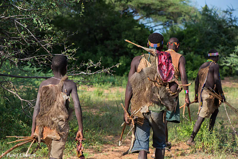 6-Day Tarangire, Serengeti, Ngorongoro, Eyasi & Manyara