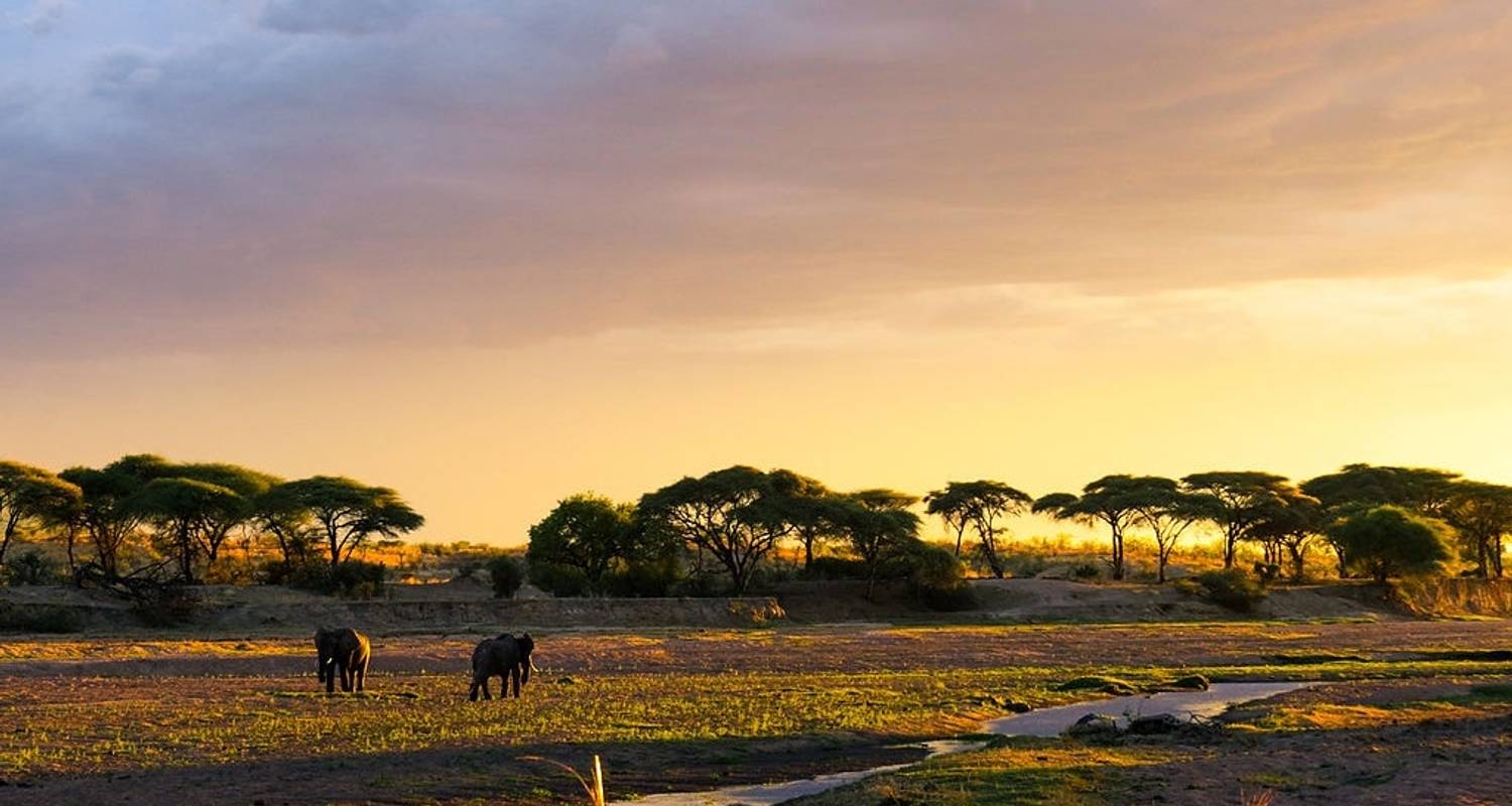 4-Day The best campsite safaris - Kilimanjaro Habitas - Safarigo