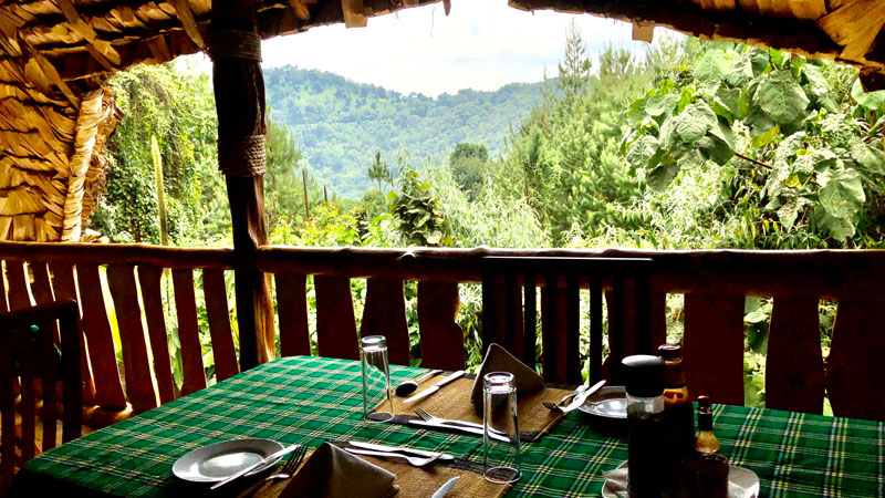 Broadbill Forest Camp