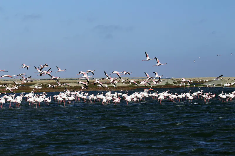 5-Day Namibian Southern Skeleton Coast Tour
