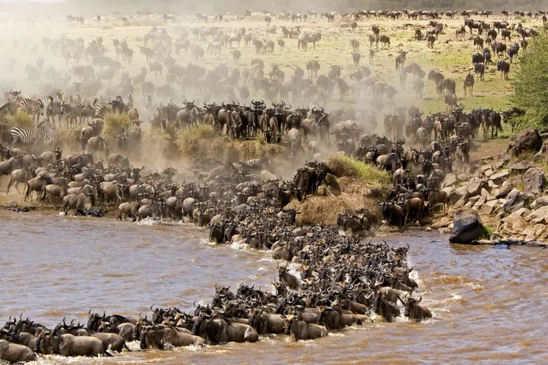 6-Day Serengeti Wildebeest Migration Camping Safari Epic