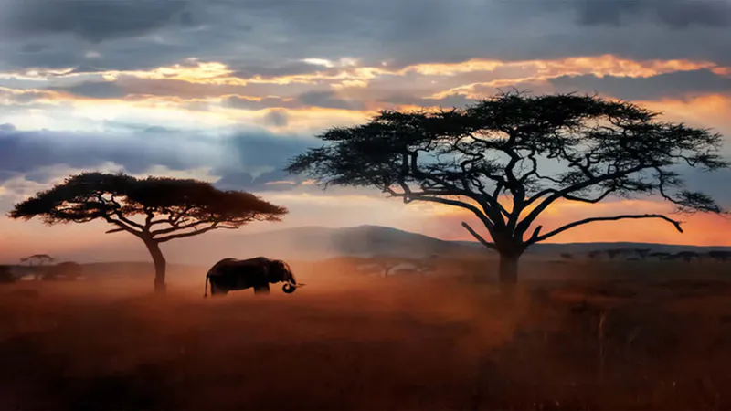 4 Day Beach to Bush, Fly in, Fly out Luxury Safari