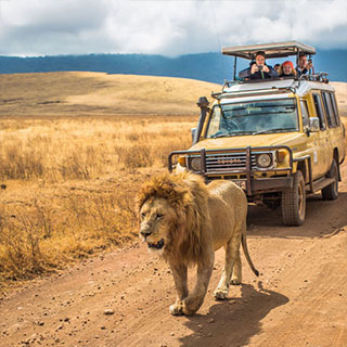 3-Day Short Camping Safari to Ngorongoro & Serengeti