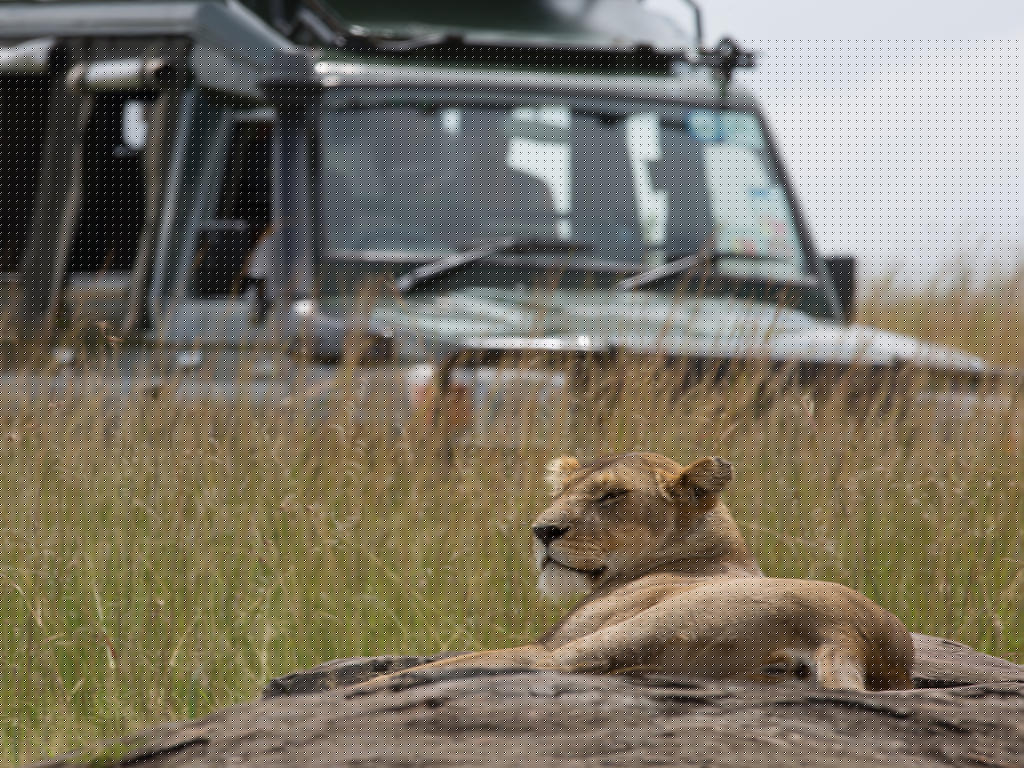 7-Day Kenya Big 5 Classic Safari