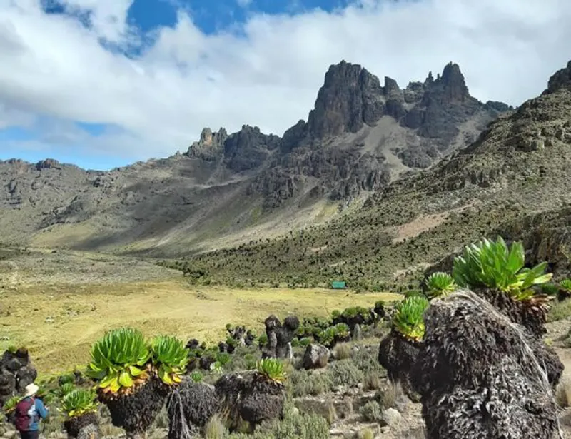 3-Day Mt Kenya to the Peak-Sirimon Route