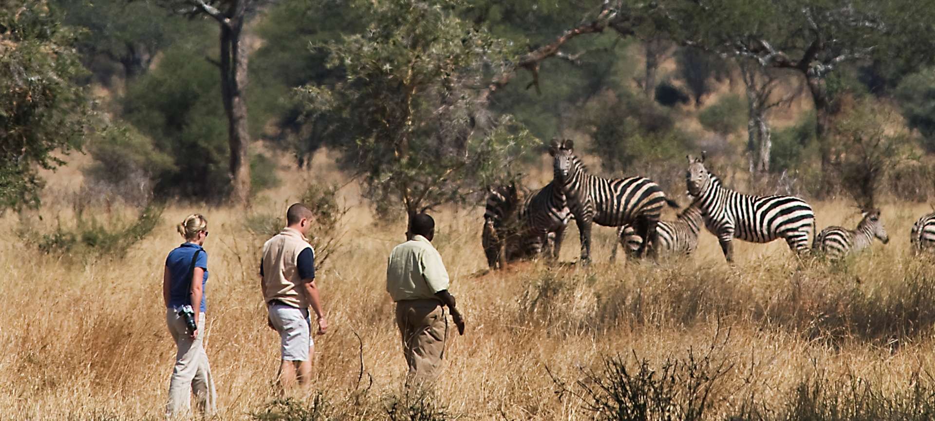 7-Day Honeymoon Serengeti Tarangire Ngorongoro Superb